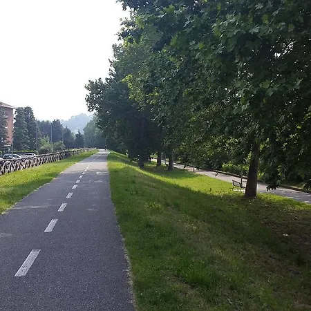 Nel Verde A *
