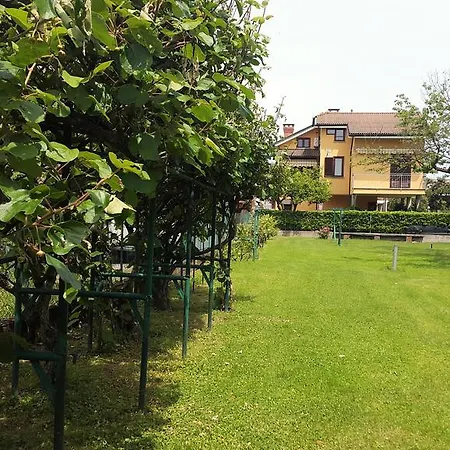 Nel Verde A * トリノ